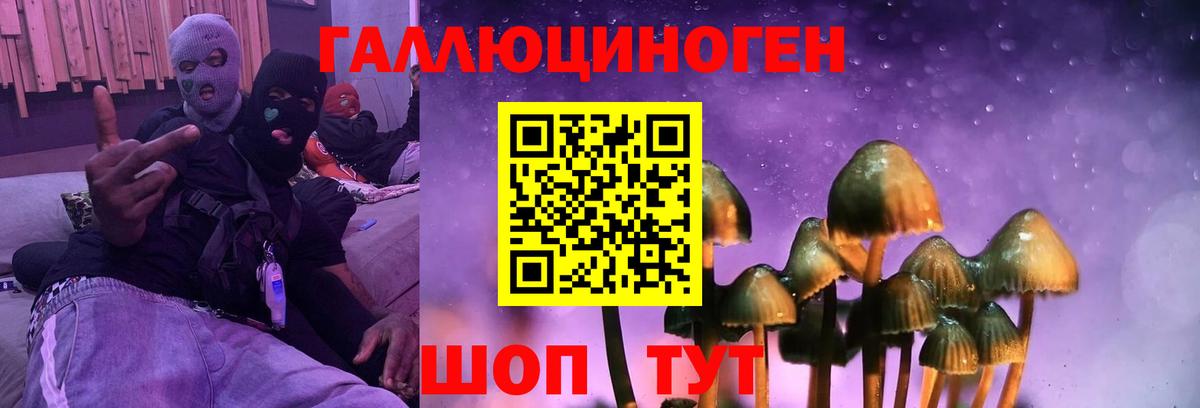 Галлюциногенные грибы GOLDEN TEACHER  Вход с VPN  Татарск 